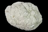 Keokuk Quartz Geode with Pyrite Crystals - Iowa #144740-1